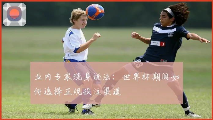 业内专家现身说法：世界杯期间如何选择正规投注渠道