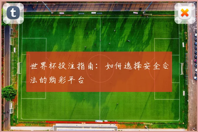 世界杯投注指南：如何选择安全合法的购彩平台