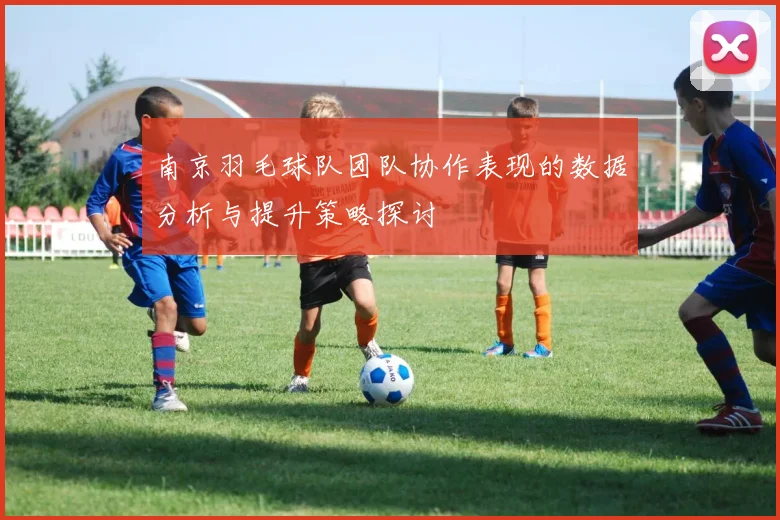 南京羽毛球队团队协作表现的数据分析与提升策略探讨