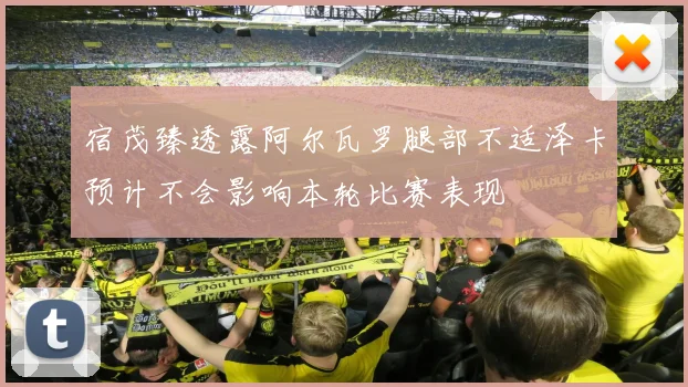 宿茂臻透露阿尔瓦罗腿部不适泽卡预计不会影响本轮比赛表现