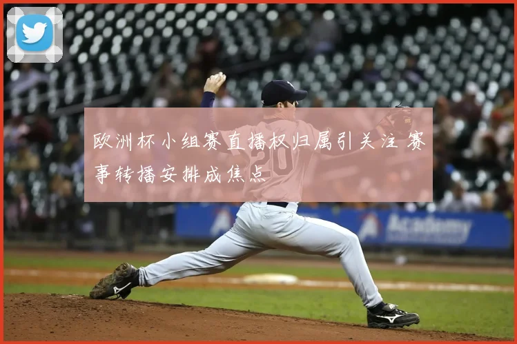 欧洲杯小组赛直播权归属引关注 赛事转播安排成焦点