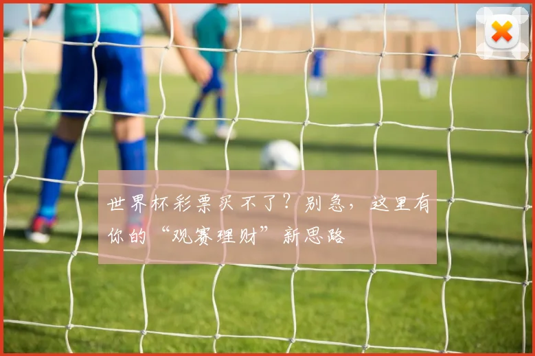 世界杯彩票买不了？别急，这里有你的“观赛理财”新思路