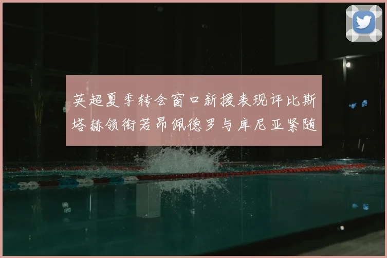 英超夏季转会窗口新援表现评比斯塔赫领衔若昂佩德罗与库尼亚紧随其后