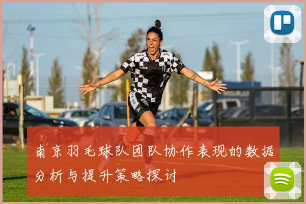 南京羽毛球队团队协作表现的数据分析与提升策略探讨
