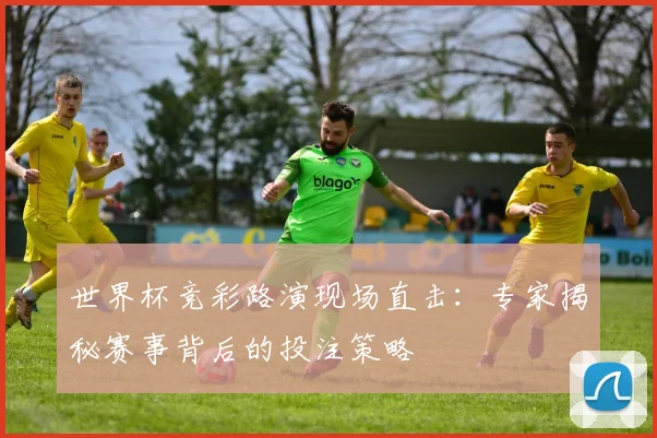 世界杯竞彩路演现场直击：专家揭秘赛事背后的投注策略