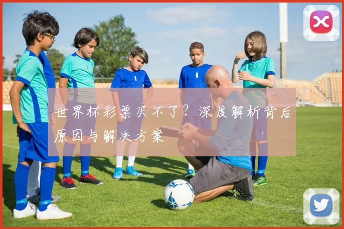 世界杯彩票买不了？深度解析背后原因与解决方案