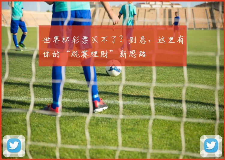 世界杯彩票买不了？别急，这里有你的“观赛理财”新思路