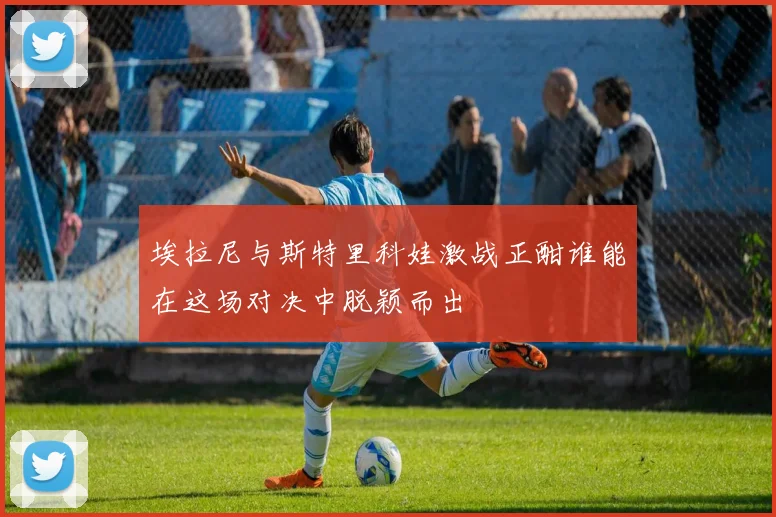 埃拉尼与斯特里科娃激战正酣谁能在这场对决中脱颖而出