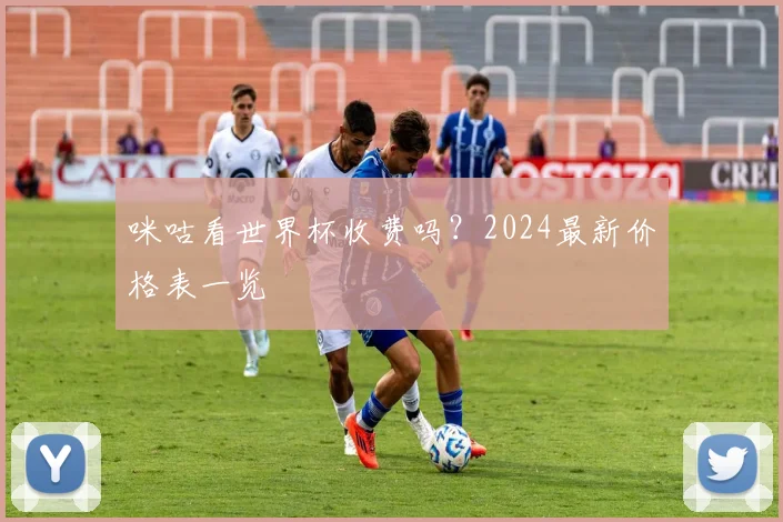 咪咕看世界杯收费吗？2024最新价格表一览